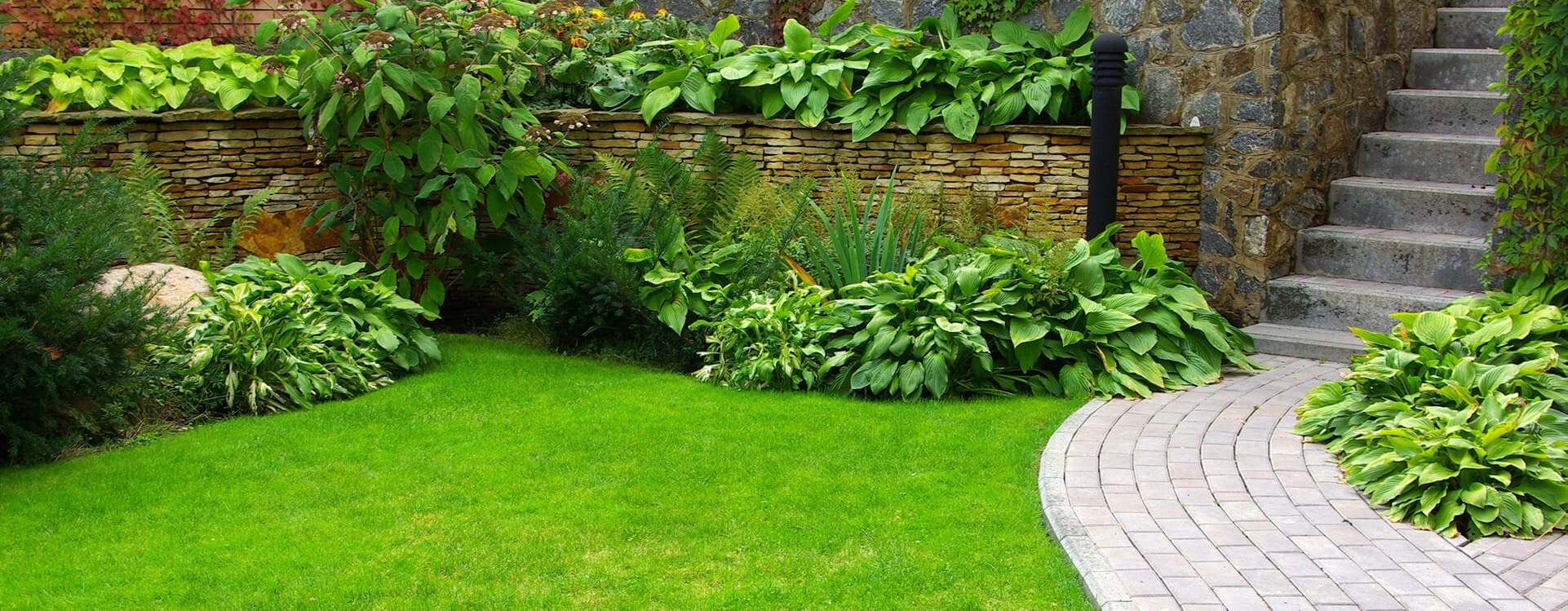 Lawn Services